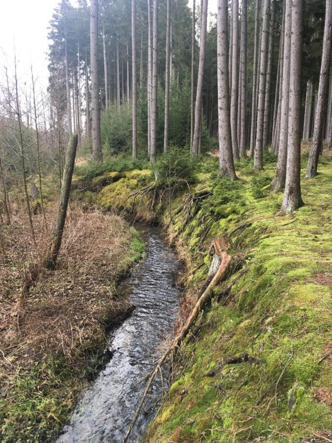 Nature Center Udoli Volavek II Weseritz Kültér fotó
